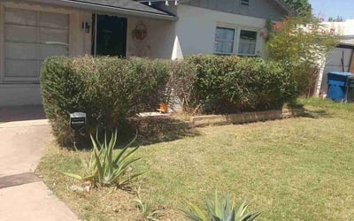 Photo of Sola K.'s yard after getting landscaping in Palo Verde, AZ