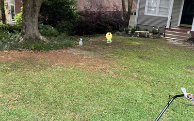 Photo of Sarah W.'s yard after getting landscaping in Atlanta, GA