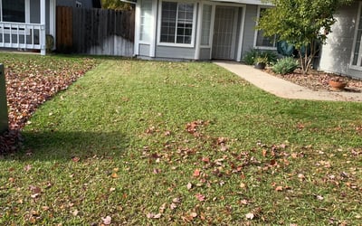 Photo of Brandon M.'s yard after getting landscaping in Tahoma, CA