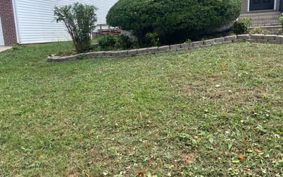 Photo of Natalie G.'s yard after getting landscaping in Woodbury, TN