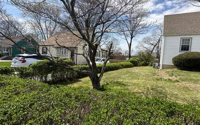 Photo of Carla S.'s yard after getting tree care in Doylestown, PA