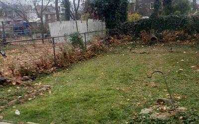 Photo of Alicia C.'s yard after getting landscaping in Perkasie, PA