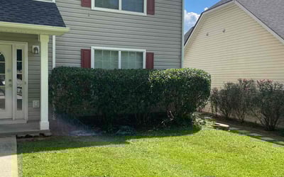 Photo of Sue H.'s yard after getting tree care in Fairburn, GA