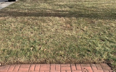 Photo of Marquan W.'s yard after getting landscaping in Easton, KS