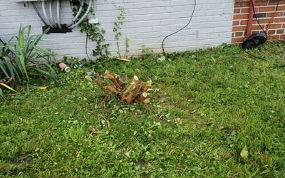 Photo of Mel T.'s yard after getting landscaping in Midland, VA