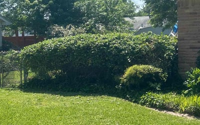 Photo of Chelle S.'s yard after getting landscaping in Richardson, TX