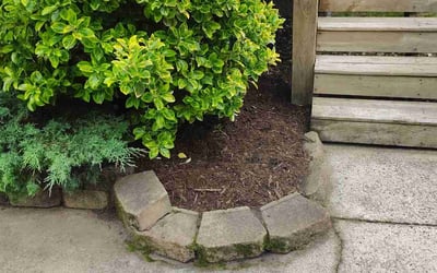 Photo of Eric G.'s yard after getting landscaping in Asheville, NC