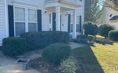 Photo of Frank B.'s yard after getting tree care in Cornelius, NC