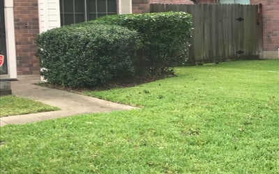 Photo of Daniel C.'s yard after getting landscaping in Simonton, TX
