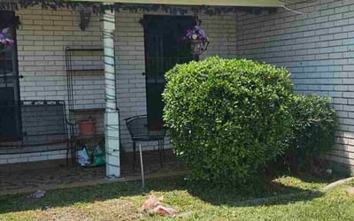 Photo of Shelita C.'s yard after getting tree care in Kenner, LA