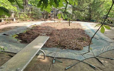 Photo of Robert M.'s yard after getting landscaping in Raleigh, NC