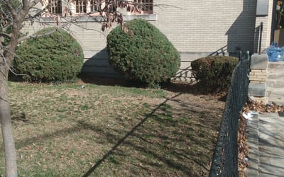 Photo of Michael D.'s yard after getting landscaping in Bentonville, VA