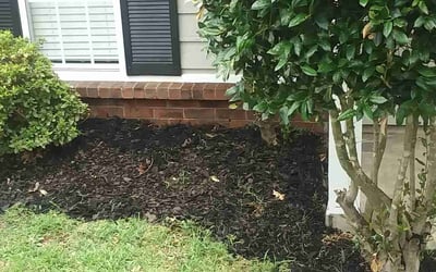 Photo of Caitlin W.'s yard after getting landscaping in Brighton, TN