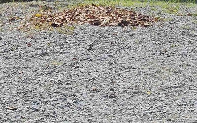Photo of Jerome R.'s yard after getting landscaping in Auburn, CA