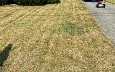 Photo of Heather L.'s yard after getting landscaping in Goffstown, NH