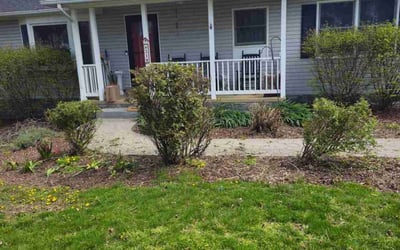 Photo of Rosa L.'s yard after getting tree care in Great Falls, VA
