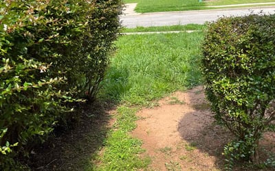 Photo of Allen J.'s yard after getting tree care in Covington, GA