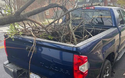 Photo of James M.'s yard after getting landscaping in Fredericksburg, VA