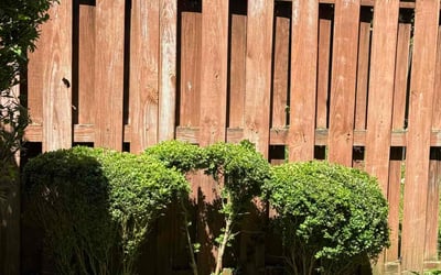 Photo of Ashley T.'s yard after getting landscaping in Vienna, VA