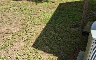 Photo of Veronica W.'s yard after getting tree care in Chapel Hill, NC