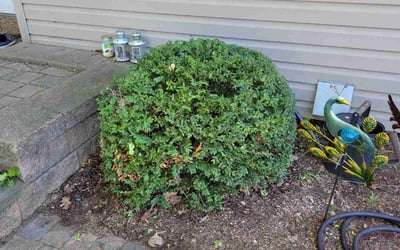 Photo of John O.'s yard after getting landscaping in Buffalo, MN