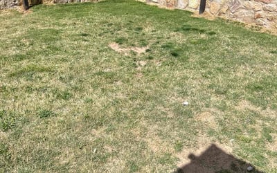 Photo of Samantha M.'s yard after getting landscaping in Fabens, TX