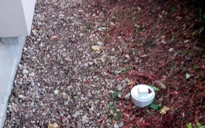 Photo of Kathy C.'s yard after getting landscaping in Saint Francisville, LA