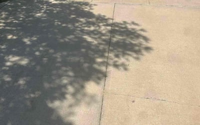 Photo of Jordan S.'s yard after getting landscaping in Hartsel, CO