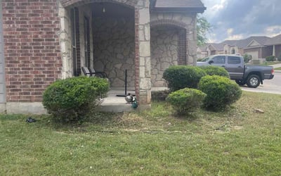 Photo of Brian A.'s yard after getting landscaping in Atascosa, TX
