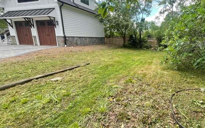 Photo of Laura S.'s yard after getting landscaping in Arlington, VA