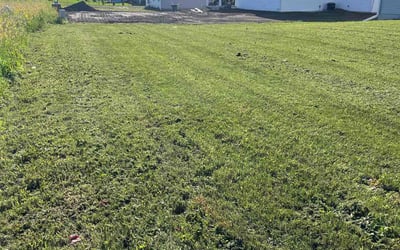 Photo of Jamie F.'s yard after getting landscaping in Lodi, WI
