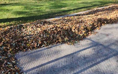 Photo of Ron S.'s yard after getting landscaping in Fredonia, WI