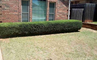 Photo of Mark L.'s yard after getting landscaping in Jones, OK