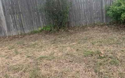 Photo of David C.'s yard after getting landscaping in Owasso, OK