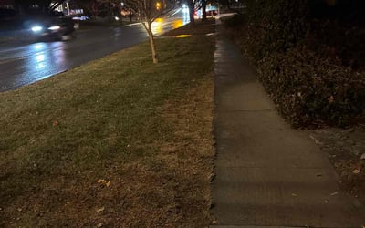 Photo of Justin M.'s yard after getting landscaping in Omaha, NE