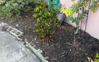 Photo of Jen C.'s yard after getting landscaping in Winter Park, FL
