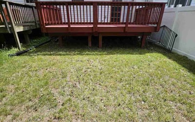 Photo of Melissa T.'s yard after getting landscaping in Triangle, VA