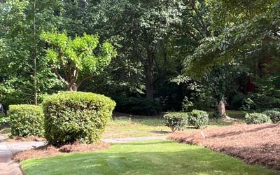 Photo of Michael B.'s yard after getting landscaping in Brooks, GA