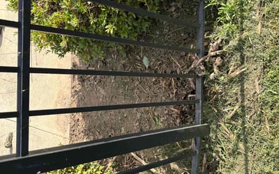 Photo of Robert C.'s yard after getting landscaping in Hickory, NC