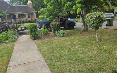 Photo of Sherelle A.'s yard after getting landscaping in Montgomery, AL