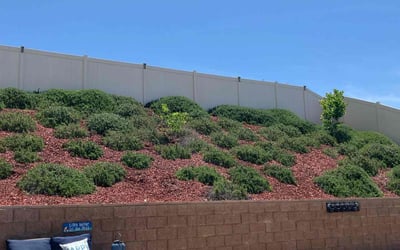 Photo of Sonja N.'s yard after getting landscaping in Highland, CA