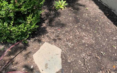 Photo of Monica R.'s yard after getting landscaping in Hardin, MO