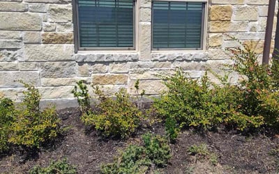 Photo of Sean F.'s yard after getting tree care in Pflugerville, TX