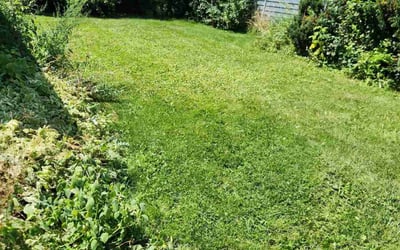 Photo of Richard M.'s yard after getting landscaping in Colgate, WI