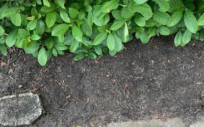 Photo of Janet B.'s yard after getting landscaping in Jacksonville, FL