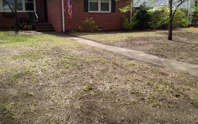 Photo of John P.'s yard after getting landscaping in Onemo, VA