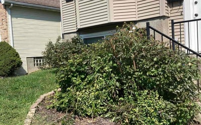 Photo of Calvin A.'s yard after getting landscaping in West College Corner, IN