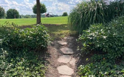 Photo of Marie M.'s yard after getting landscaping in Shippensburg, PA
