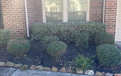 Photo of Jacklin S.'s yard after getting landscaping in Anahuac, TX