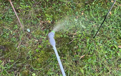 Photo of Robert S.'s yard after getting landscaping in Fort Lee, VA